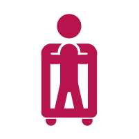 Pionizatory statyczne